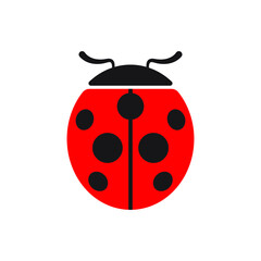 Cute ladybug or ladybird simple flat design red and black. Vector illustration isolated on white background.