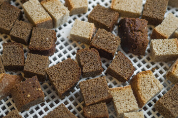 Drying rusk in an electric dryer. Dehydration of white and brown bread crackers. Selective focus