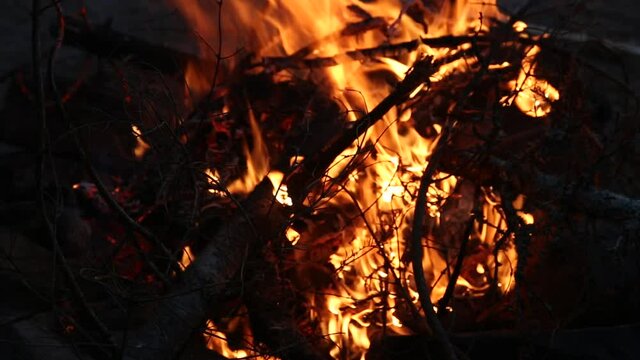 A close-up clip of a campfire.