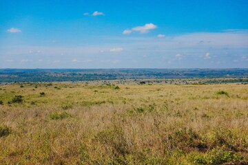 The panoramic savannah grasslands landscapes of Nairobi National Park, Kenya