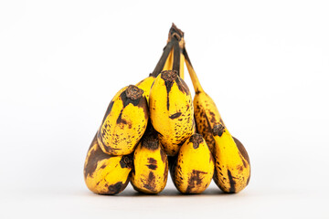 Bananenstaude mit überreifen Bananen nicht mehr für den Verkauf geeignet