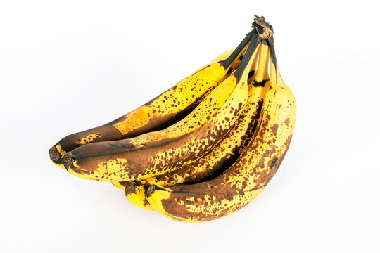 Bananenstaude mit &uuml;berreifen Bananen nicht mehr f&uuml;r den Verkauf geeignet