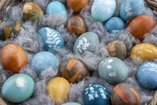 Horizontal image of white and brown eggs colored with natural dyes and accented with botanical leaf and flower prints, nestled into fluffy gray alpaca fiber and displayed in a shallow basket