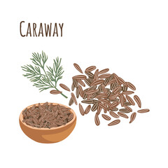 Caraway seasoning spice for cooking - obrazy, fototapety, plakaty