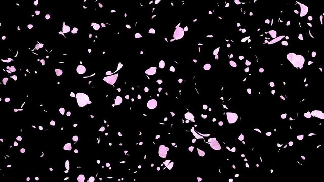 桜 桜吹雪 舞い散る ピンク マスクあり [ループ対応] [別Verあり]