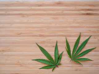 COPY SPACE: Two sativa marijuana leaves lie on the wooden kitchen countertop