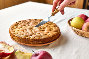 Hand of woman cutting slice of homemade apple cake Charlotte or american sponge apple pie with walnuts and ripe red apples on the table with linen tablecloth. Healthy seasonal eating.