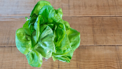 Lettuce green leaves salad with roots with ground on the wooden background. Lettuce leaves ingredient for cooking.