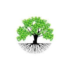 banyan tree logo vector