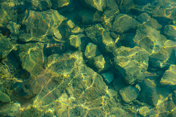 Fototapeta na wymiar Sea rocky bottom under weedy water. Muddy green lake surface rippled with sun ray reflections.