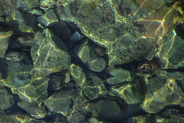 Sea rocky bottom under weedy water. Muddy lake surface rippled with sun ray reflections.