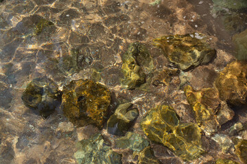 Sea rocky bottom under transparent  water. Clear lake surface rippled with sun ray reflections.