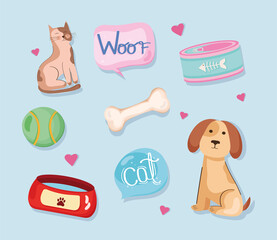 eight pet lover products