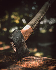axe in the stump