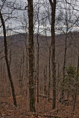 Obraz premium Buffalo National River, Arkansas.