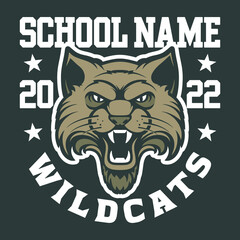 Logo design for sport team, tournament, league or school mascot 