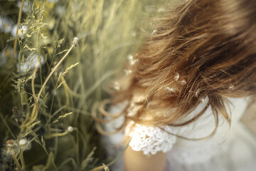 A girl in a white dress is sitting in the grass and dandelions, the child's long hair is close-up, dandelion umbrellas on her hair, dandelion seeds.