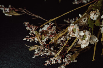 Dried White Flowers and Leaves on Dark Background. Moody Floral Flat Lay. 