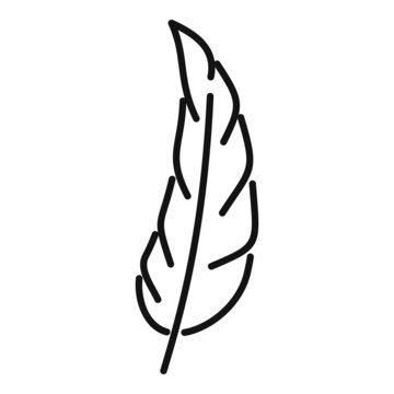 Feather plume icon outline vector. Bird pen