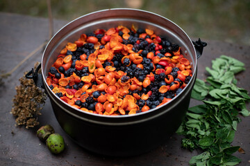Cooking wild berries compote in the forest