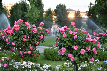 Belvedere Gardens, Vienna, Austria