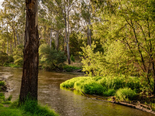 Afternoon River Divide