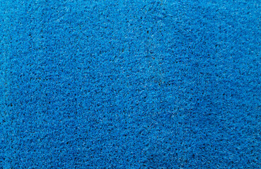 artificial blue grass. artificial pavement for the street.