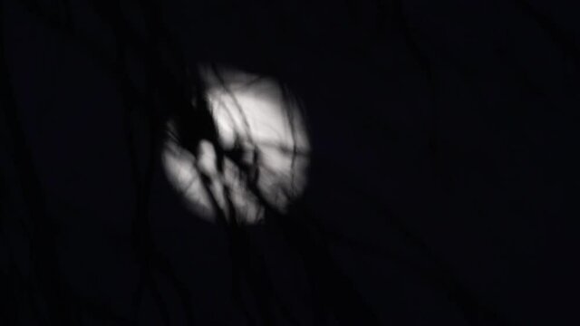 Tokyo,Japan - January 19, 2022: The reflection of full moon on water surface
