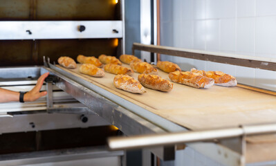 Hot appetizing baguettes on a bakery oven tray