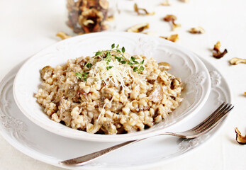 mushroom and barley risotto (Orzotto) , barley porridge with mushrooms. dried porcini mushrooms