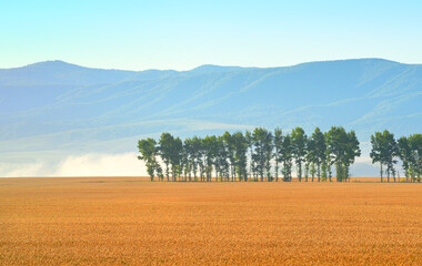 Foothills of the Altai Mountains
