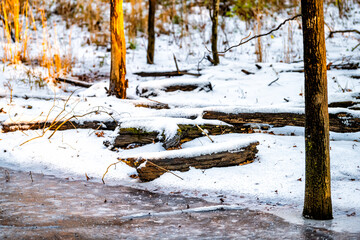 Sugarland Run Stream Valley Trail in Herndon, Northern Virginia Fairfax county with landscape creek river water and driftwood logs covered in frozen snow ice white and sunset sunlight yellow soft