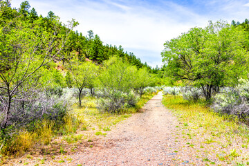 Fototapeta na wymiar Santa Fe, New Mexico near Sangre de Cristo mountains with trail footpath through garden and green desert trees in summer