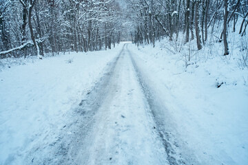 Snowy forest road in winter conditions