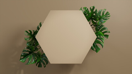 Hexagon Botanical Frame with Monstera Plant Border. Beige, Natural Design for Product Display.