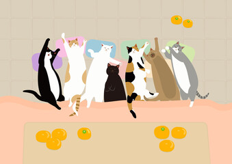 7匹の猫とミカンとコタツのある風景　日本人が好きな冬の楽しみ方　寝正月