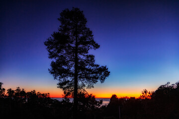 Cambria Sunset 1