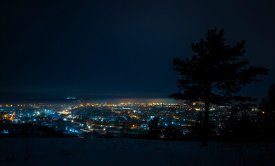 bright illumination of many lights of an industrial city from the top of a high mountain with silhouettes of trees in winter with snow