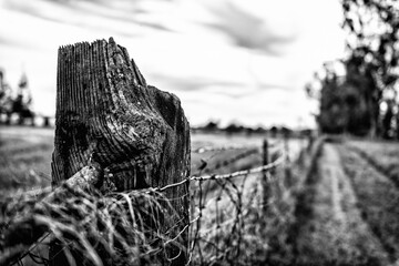 Fence Post