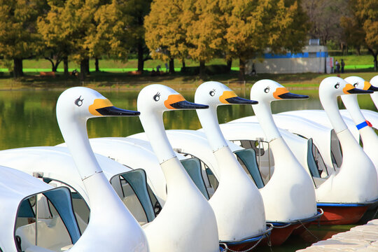 2,360 件の最適な スワン 画像、ストック写真、ベクター Adobe Stock