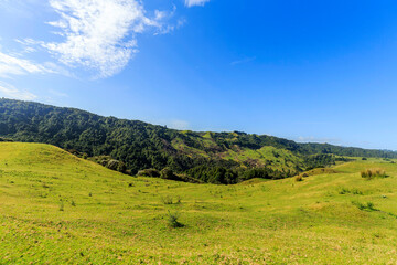Fototapeta na wymiar Nature green hills with blue sky in New Zealand