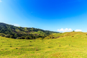 Fototapeta premium Nature green hills with blue sky in New Zealand