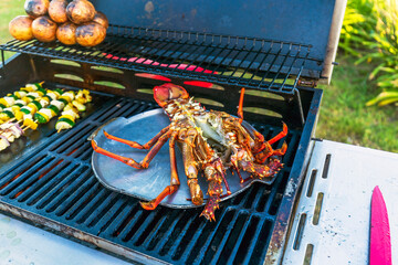 Barbecue grill party. Tasty grilled crab and vegetables