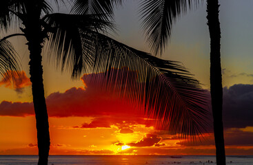 Naklejka na ściany i meble Hawaii Sunset Palm Tree Silhouette