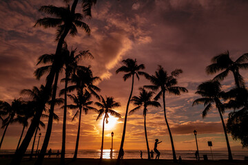 Fototapeta na wymiar Hawaii Sunset Palm Tree Silhouette with Slackliner
