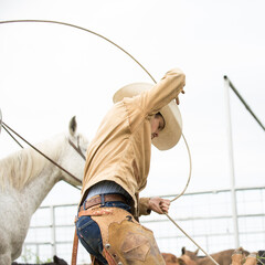 Cowboy throwing rope on a cattle ranch