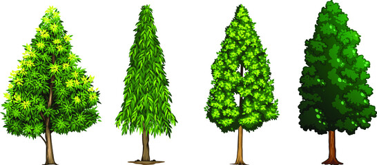 Collection of long Realistic Trees Isolated on White Background.