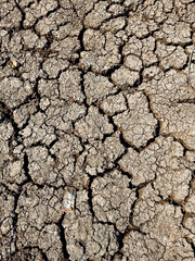 dry cracked earth