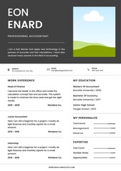 Obraz premium Professional resume templater best for applying for jobs