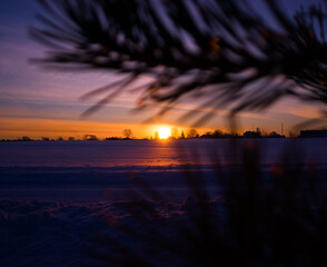 A beautiful winter sunrise scenery with tree branches. Snowy landscape of Northern Europe.
